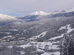 Whistler_01.JPG