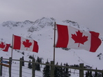 Whistler_02.JPG